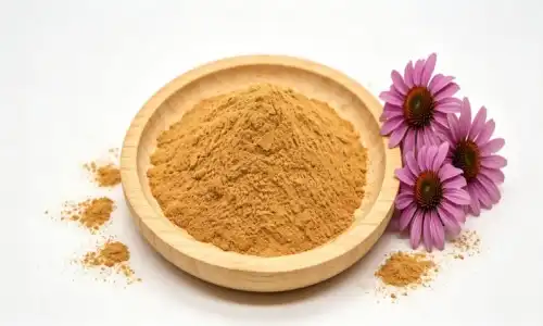 How Pure Echinacea Flower Extract Powder Supports Supplement Development